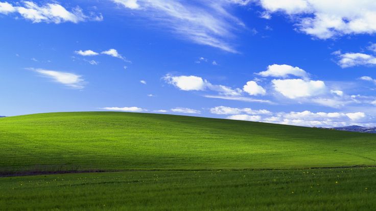 a green field with blue sky and clouds in the background