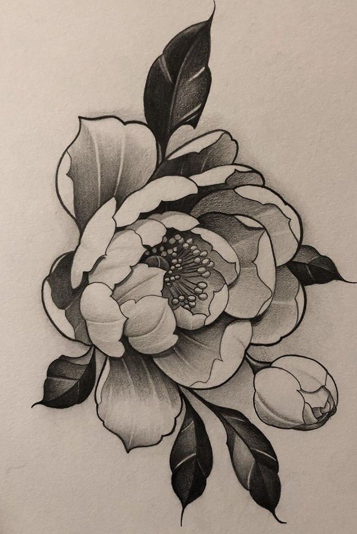 a black and white drawing of a flower