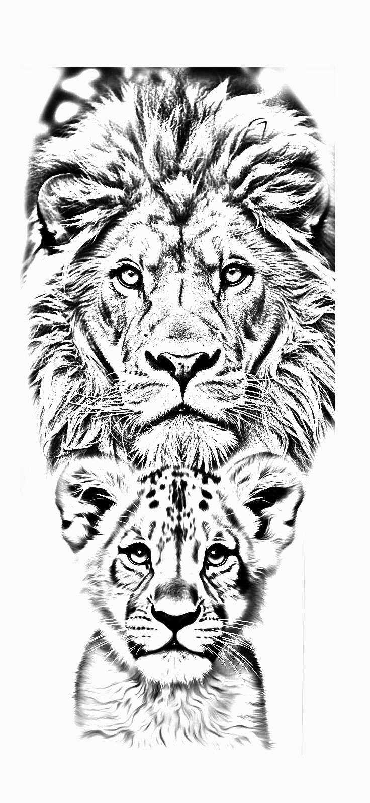 a black and white drawing of two lions with their heads turned to look like they are facing each other