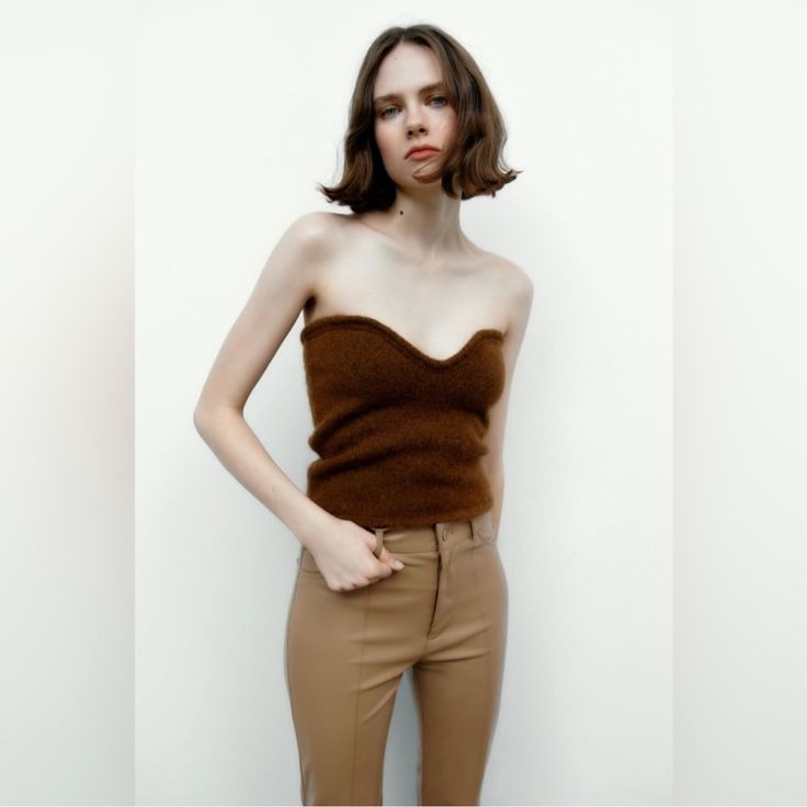 Zara Strapless Tube Top Brown S Excellent Condition *Never Worn* New Without Tags Sold Out Online. Ships Next Business Day Pet/Smoke Free Home Modern Old Money, Old Money Academia, Earthy Minimalist, Elegant Preppy, Preppy Academia, Zara Top, Neck Crop Top, Sweetheart Neck, Zara Tops