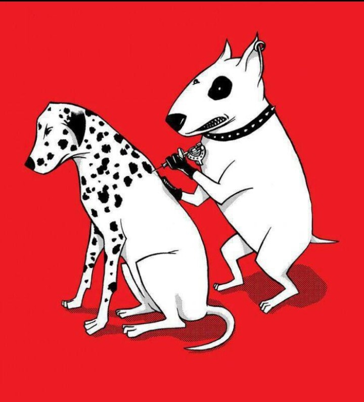 an image of two dogs on a red and black background with the caption foto