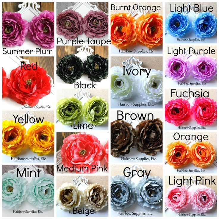 Ranunculus Flowers - 3 inch – Hairbow Supplies, Etc. Boutique Flowers, Wholesale Crafts, Wholesale Craft Supplies, Ranunculus Flowers, Business Savvy, Fold Over Elastic, Yellow Lime, Hair Flowers, Printed Ribbon