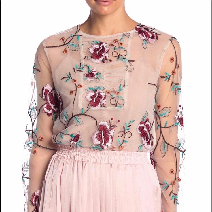 Embroidered Floral Mesh Top Nwt Chic Embroidered Top For Spring Brunch, Fitted Feminine Embroidered Top For Spring, Pink Feminine Embroidered Top For Spring, Red Embroidered Top For Spring, Spring Embroidered Top For Brunch, Fitted Red Embroidered Top For Spring, Spring Floral Embroidered Top For Brunch, Elegant Blouse With Floral Applique For Spring, Chic Pink Blouse With Floral Embroidery