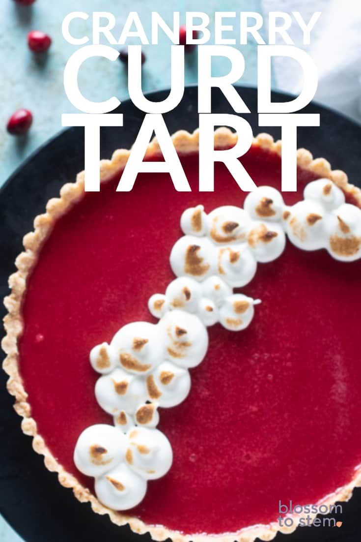 cranberry curd tart with marshmallows on top in a black plate