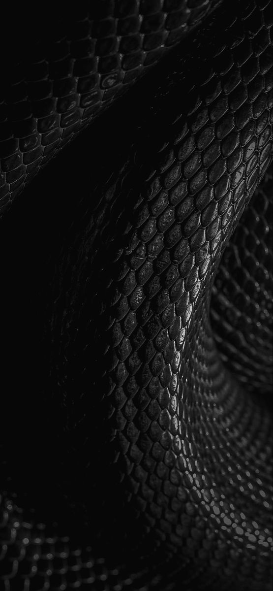 an abstract black snake skin texture