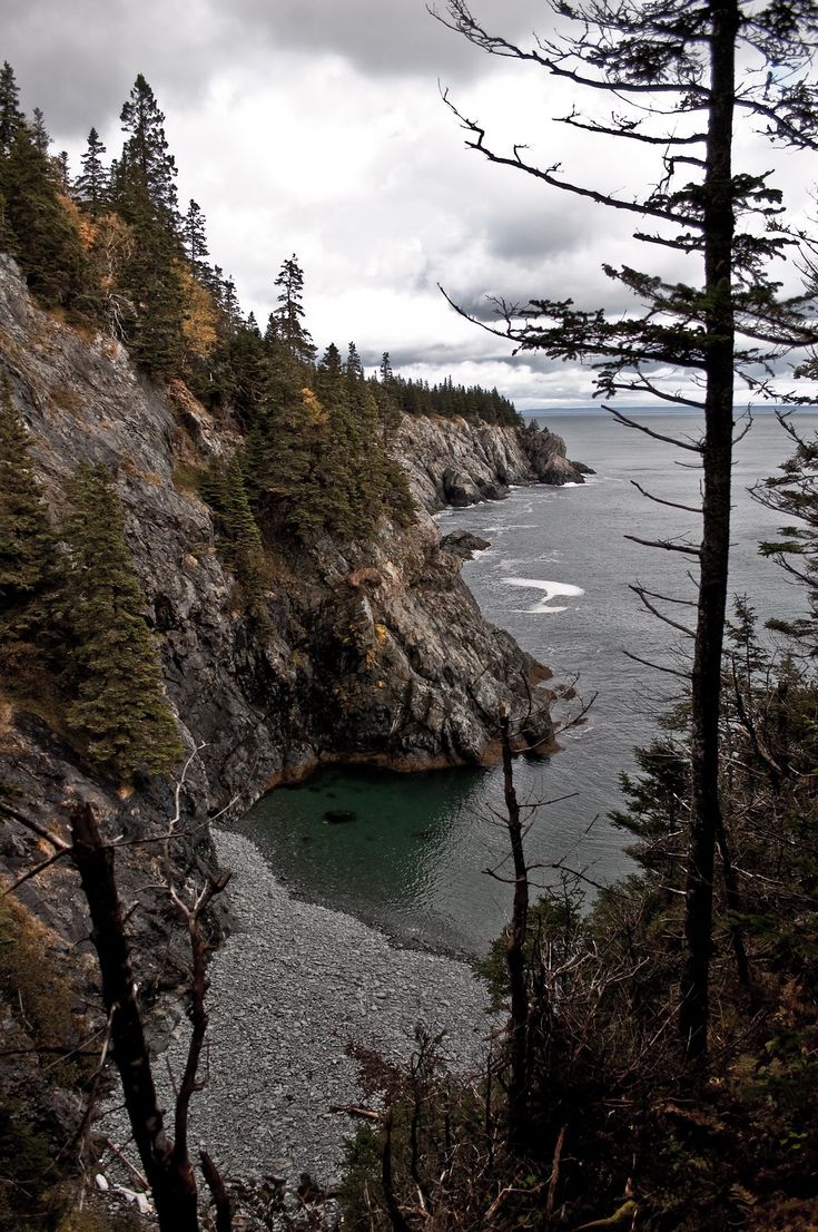 a body of water surrounded by trees and rocks