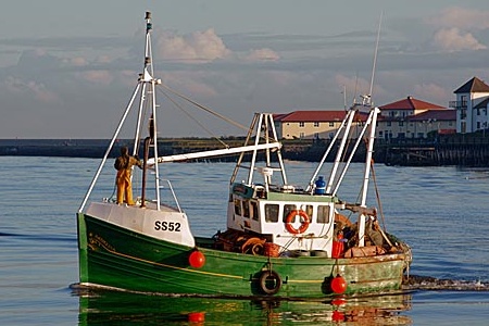 a green and white boat in the water