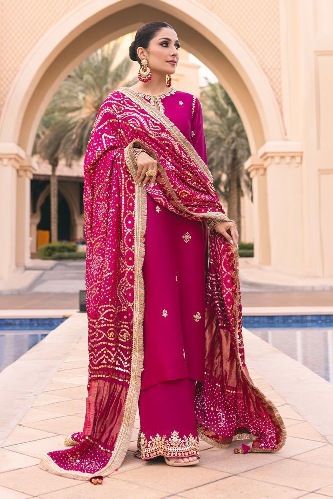 Deep Magenta, Pakistani Formal Dresses, Luxury Room, Pakistani Wedding Outfits, Ayeza Khan, Pakistani Fancy Dresses, Desi Fashion Casual, Indian Bridal Fashion, Pakistani Bridal Dresses