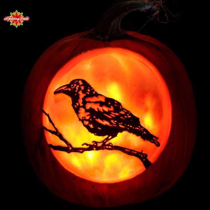 a carved pumpkin with a bird on it