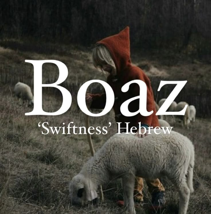 Biblical boy name Boaz. Zachariah Name Meaning, Unique Biblical Names For Boys, Christian Baby Names With Meaning, Hebrew Boy Names And Meanings, Ash Wallpaper, Meaning Of Noah Name, Bible Names, Bible Baby Names, Babies Names