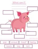 an animal diagram with words and pictures to describe it's parts, including the pig