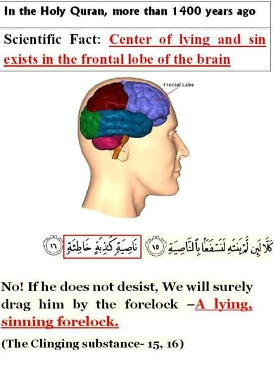 an image of the human head with words in english and arabic on top of it