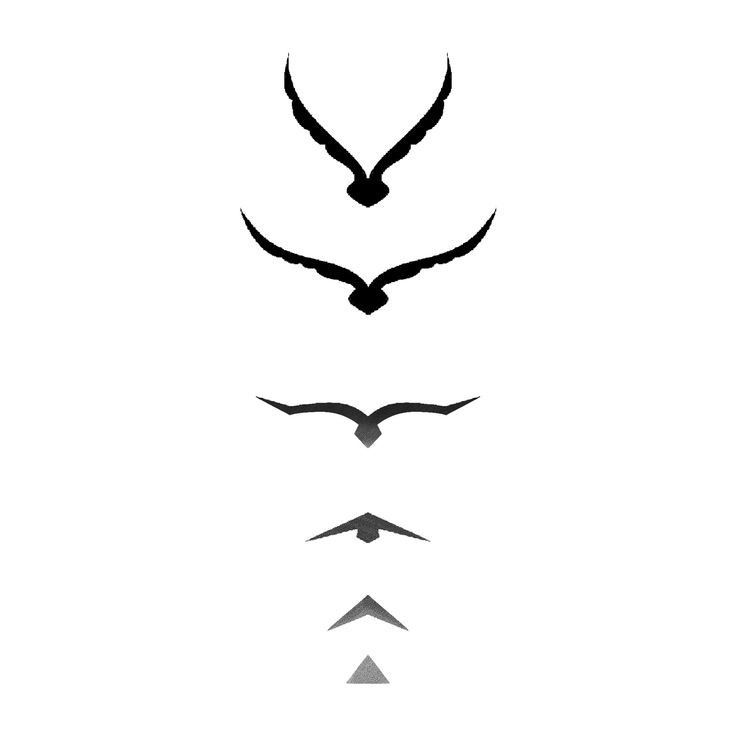 three birds flying in the air with arrows pointing up and down on each one side