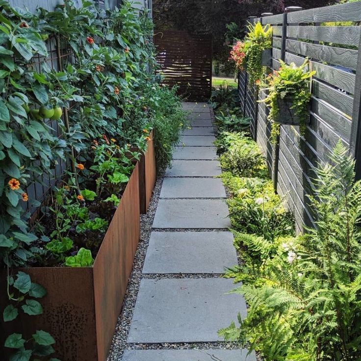 an outdoor garden with various plants growing in the planters and on the side of the building