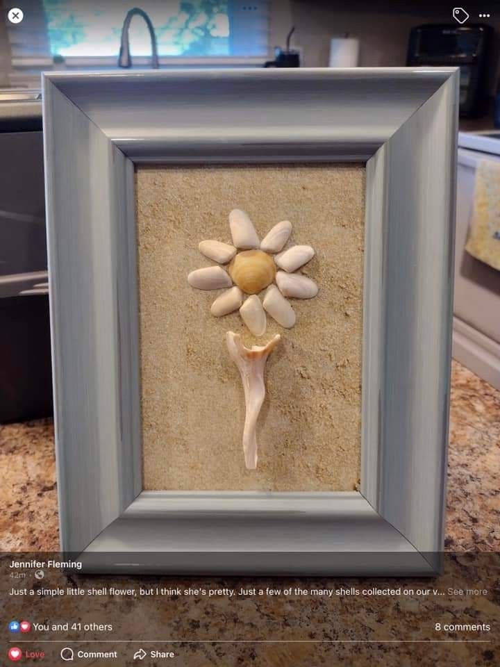 a framed photo with shells and a flower in it