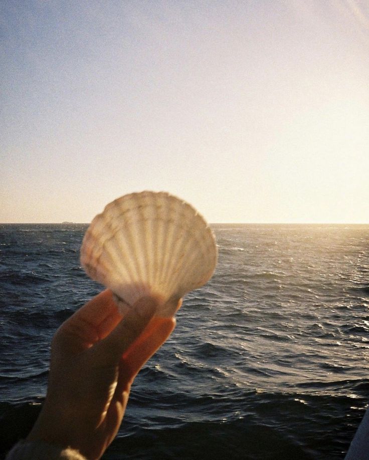 a person holding up a shell in front of the ocean