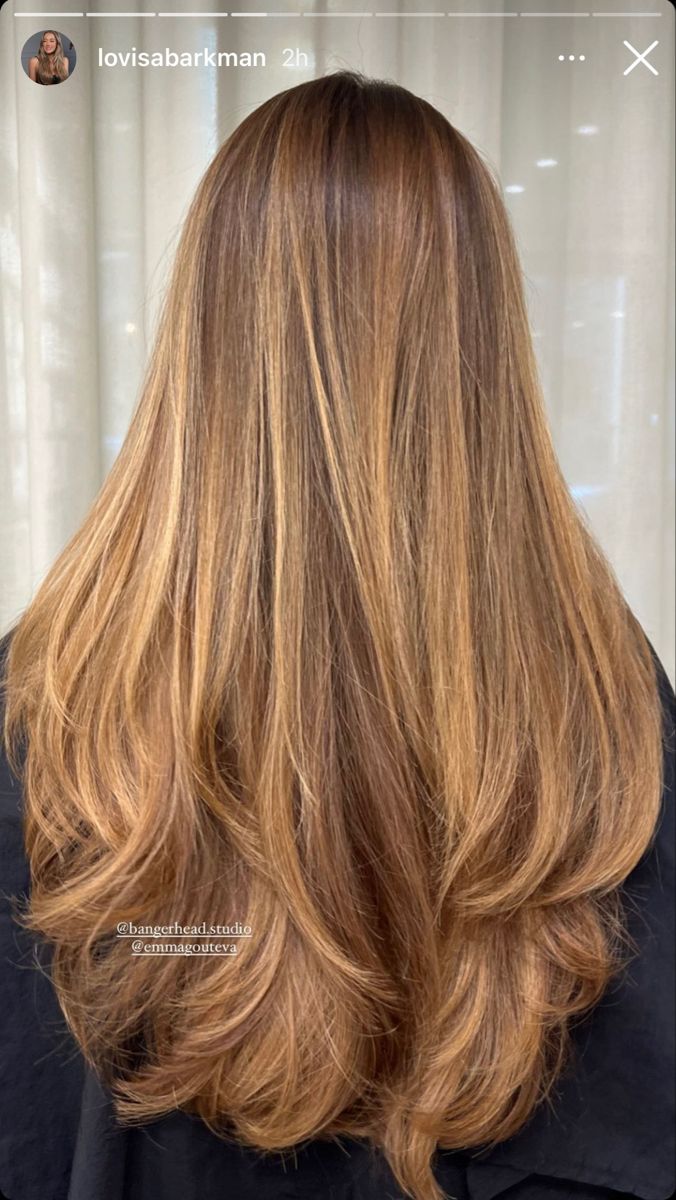 Strawberry Brown Hair, Friends First, Butterfly Cut, Honey Brown Hair, Brunette Hair With Highlights, Honey Blonde Hair, Strawberry Blonde Hair, Dark Blonde Hair, Honey Hair