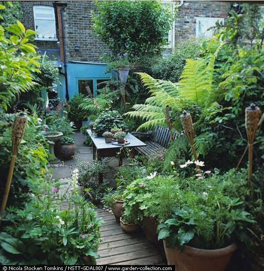 an outdoor garden with lots of plants and potted plants on the side walk way