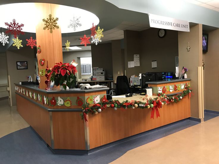 an office decorated for christmas with poinsettis and decorations