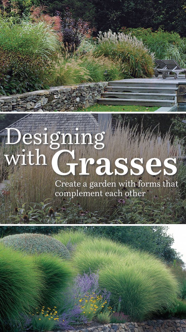 the cover of designing with grasses create a garden with forms that complement each other, including stone steps