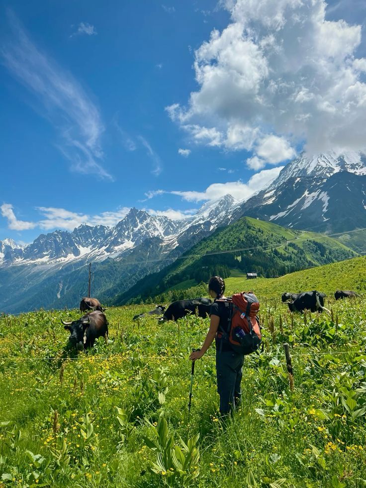 two people with backpacks are walking through the grass in front of mountains and cows