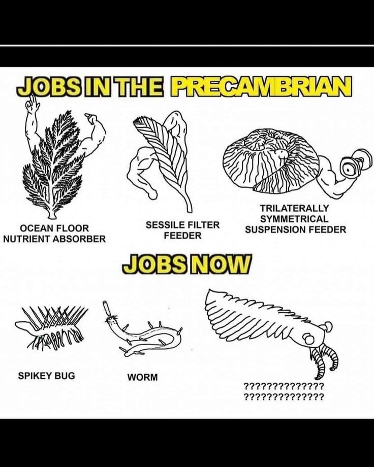 an image of jobs in the precambran job now sign up for work