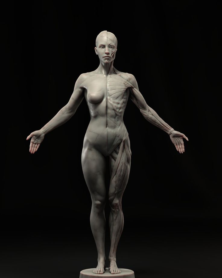 an image of a female body model on a black background