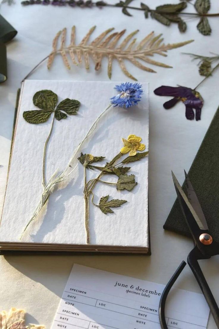 an open book with pressed flowers on it next to some scissors and other things that are laying around