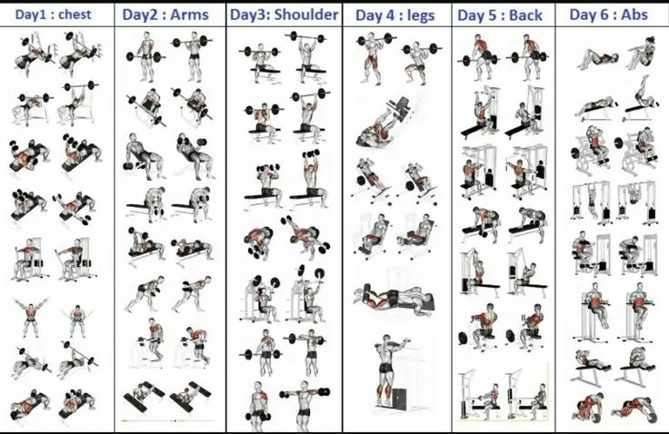 an image of a poster showing different exercises for people to do on the same bench