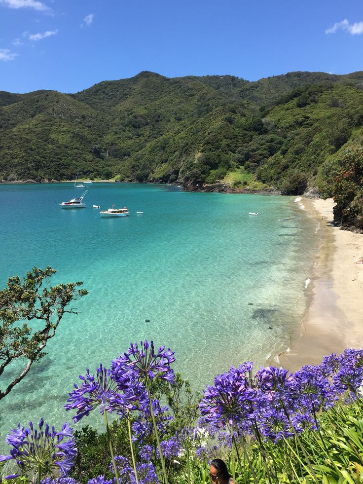 boats are in the clear blue water on a beach with purple flowers and green hills