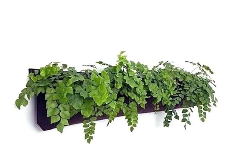 a planter filled with lots of green plants on top of a white wall next to a black shelf