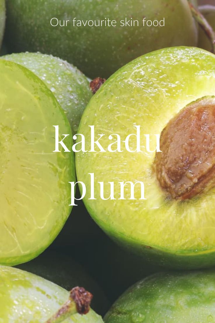 Kakadu Plum Skincare, Plum Skincare, Skin Advice, Kakadu Plum, Spa Retreat, Best Spa, Day Spa, Collagen Production, Skin Food