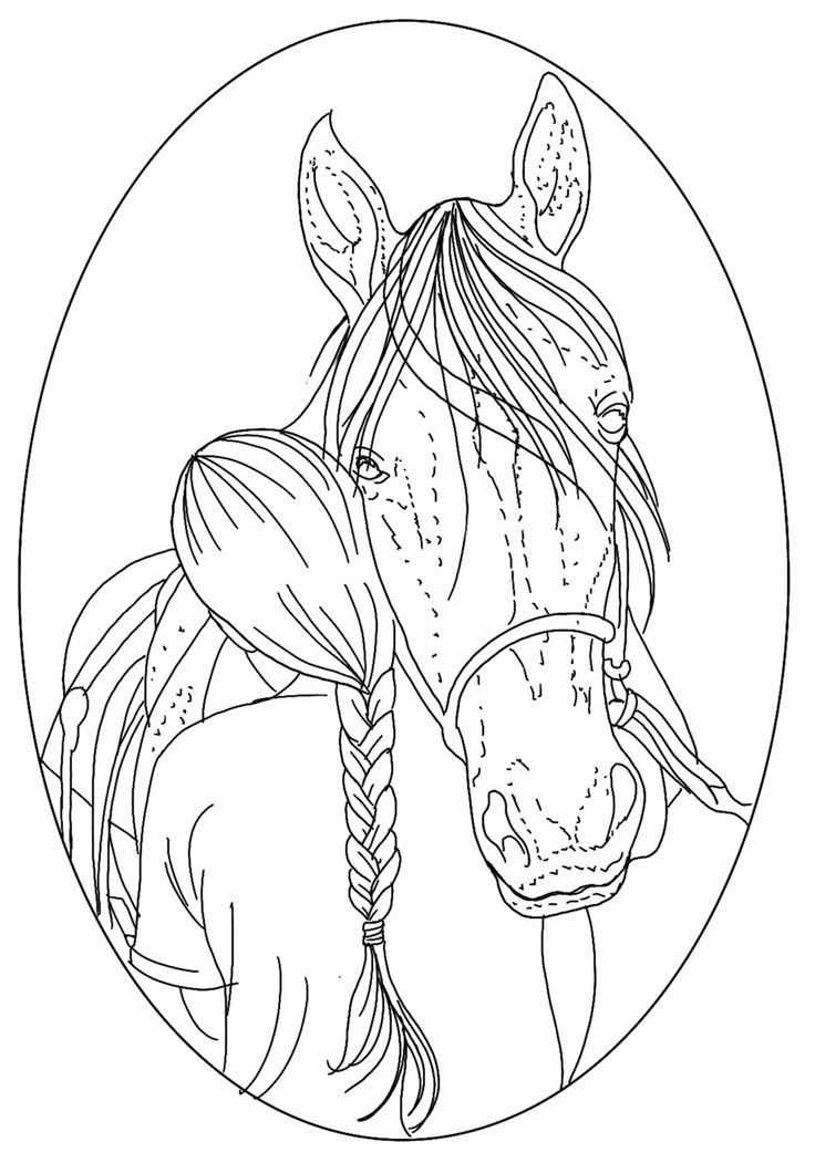 a drawing of a horse with braids on it's head in a circle