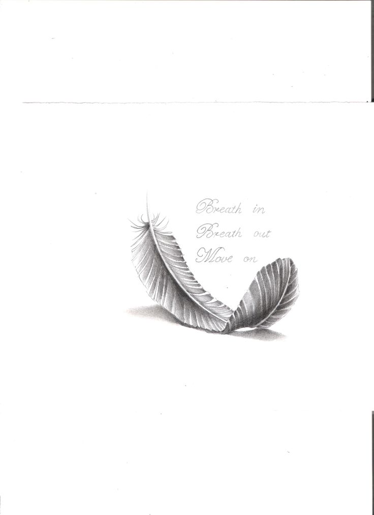 a drawing of a feather on top of a piece of paper