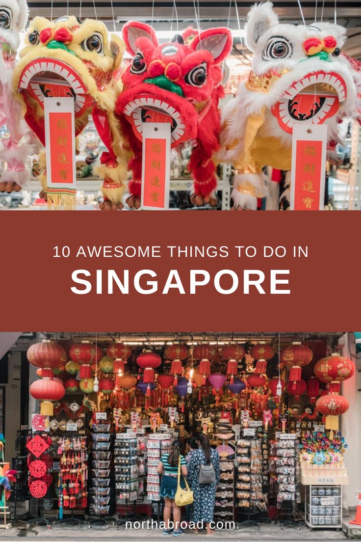 Best Things To Do In Singapore, Singapore Culture, Singapore Things To Do, Singapore Vacation, Singapore Travel Tips, Singapore Itinerary, Things To Do In Singapore, Visit Singapore, Singapore Travel