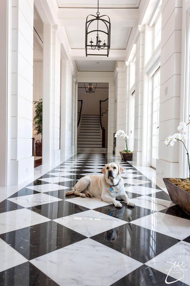 a dog laying on the floor in a hallway with black and white checkered floors