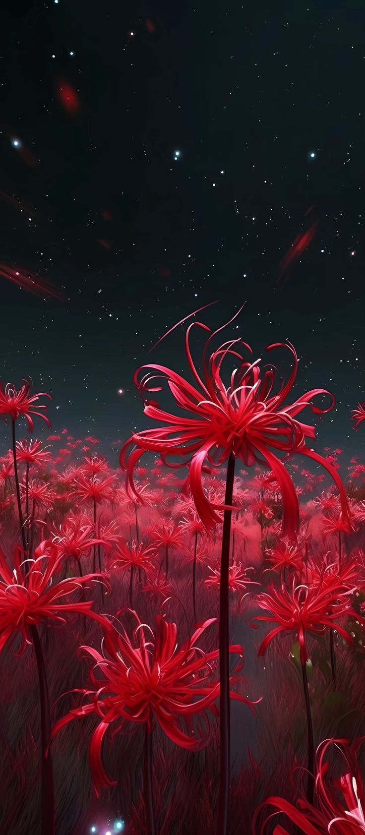 red flowers in the middle of a field at night