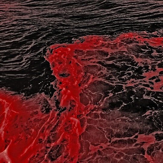 a red substance floating on top of a body of water