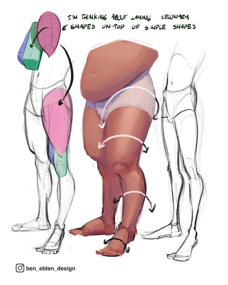 a drawing of three different types of butts