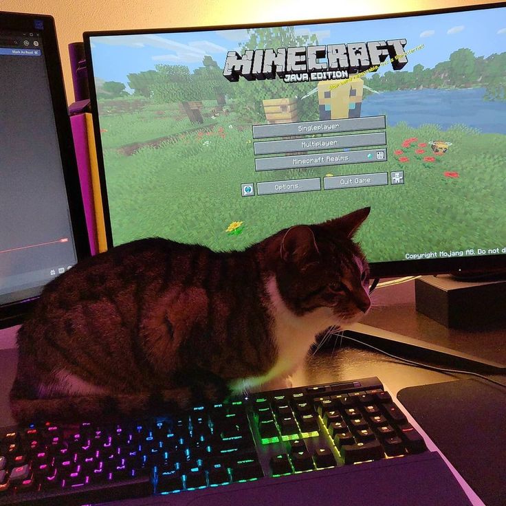 a cat sitting on top of a computer keyboard next to a monitor with a game on it