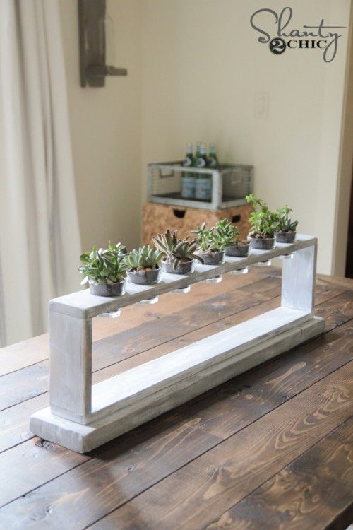 three succulents are placed in the middle of a wooden table with a mirror behind them