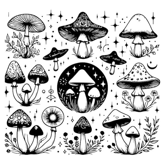 black and white mushrooms with stars in the background