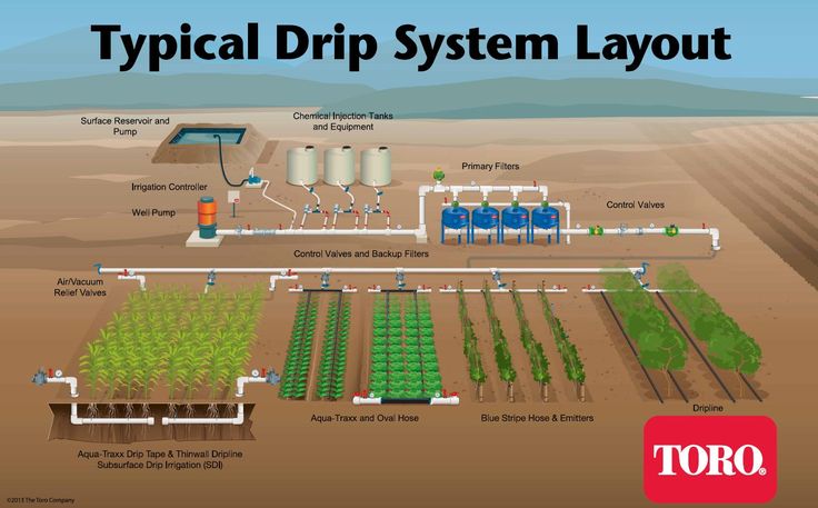 an overview of typical drip system layout in the desert, with text that reads typical drip system layout