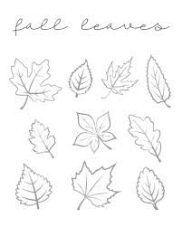 some leaves are drawn in the shape of different shapes