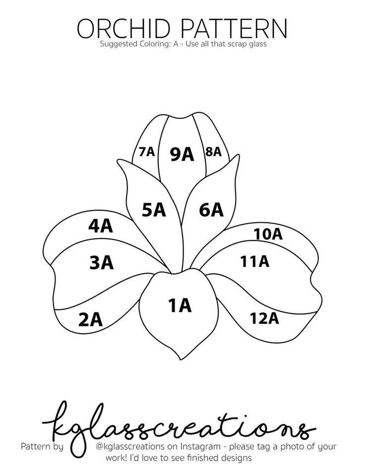 a flower with the names of each petals