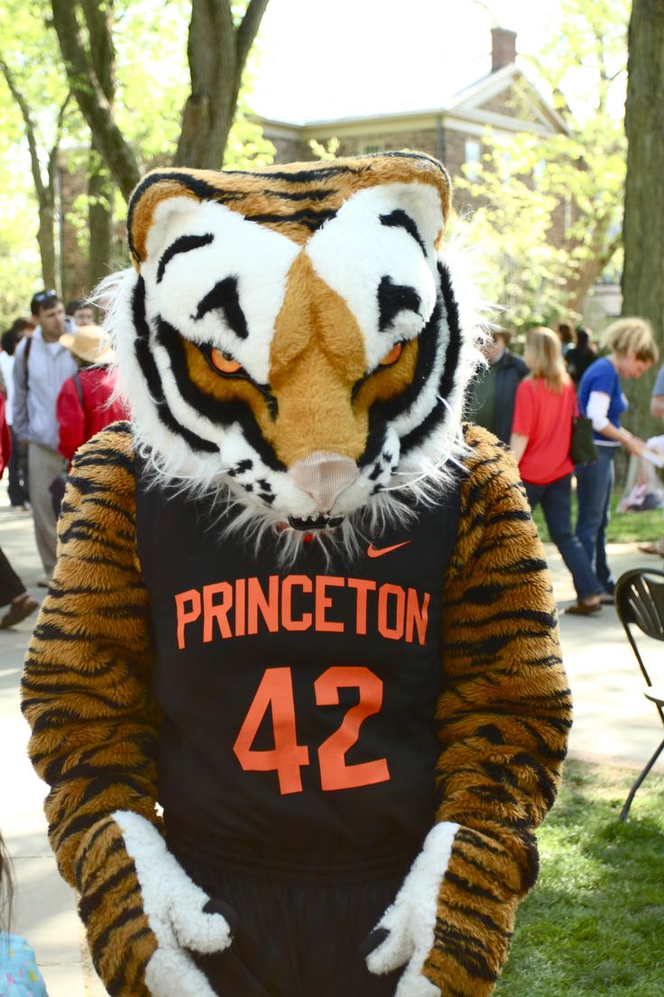 a man in a tiger costume is standing on the grass with other people around him