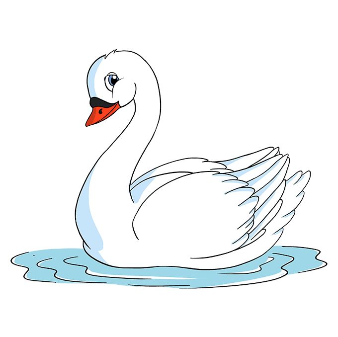 a white swan floating on top of a body of water