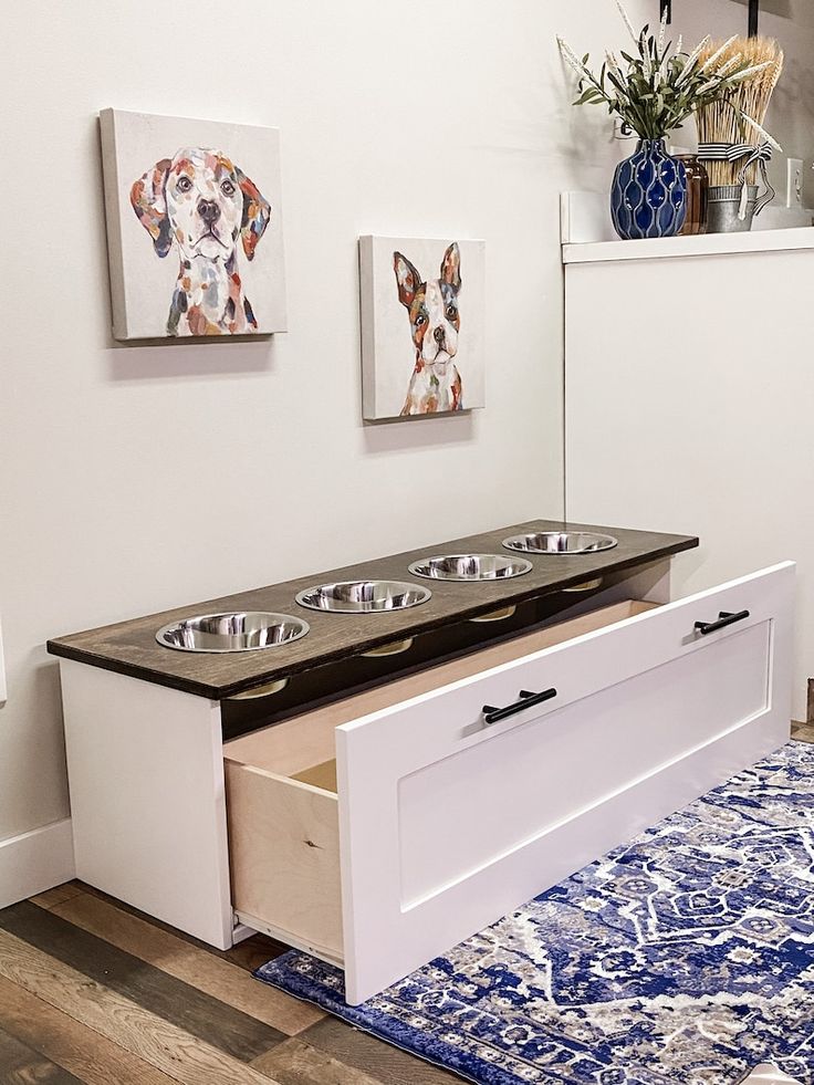 a dog food station in the corner of a room with blue rug and pictures on the wall