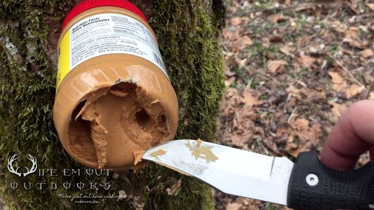 a person is holding a knife near a jar of peanut butter on a mossy tree