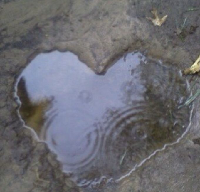 a heart shaped puddle in the ground next to grass